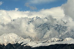 IMG_3174a1.jpg